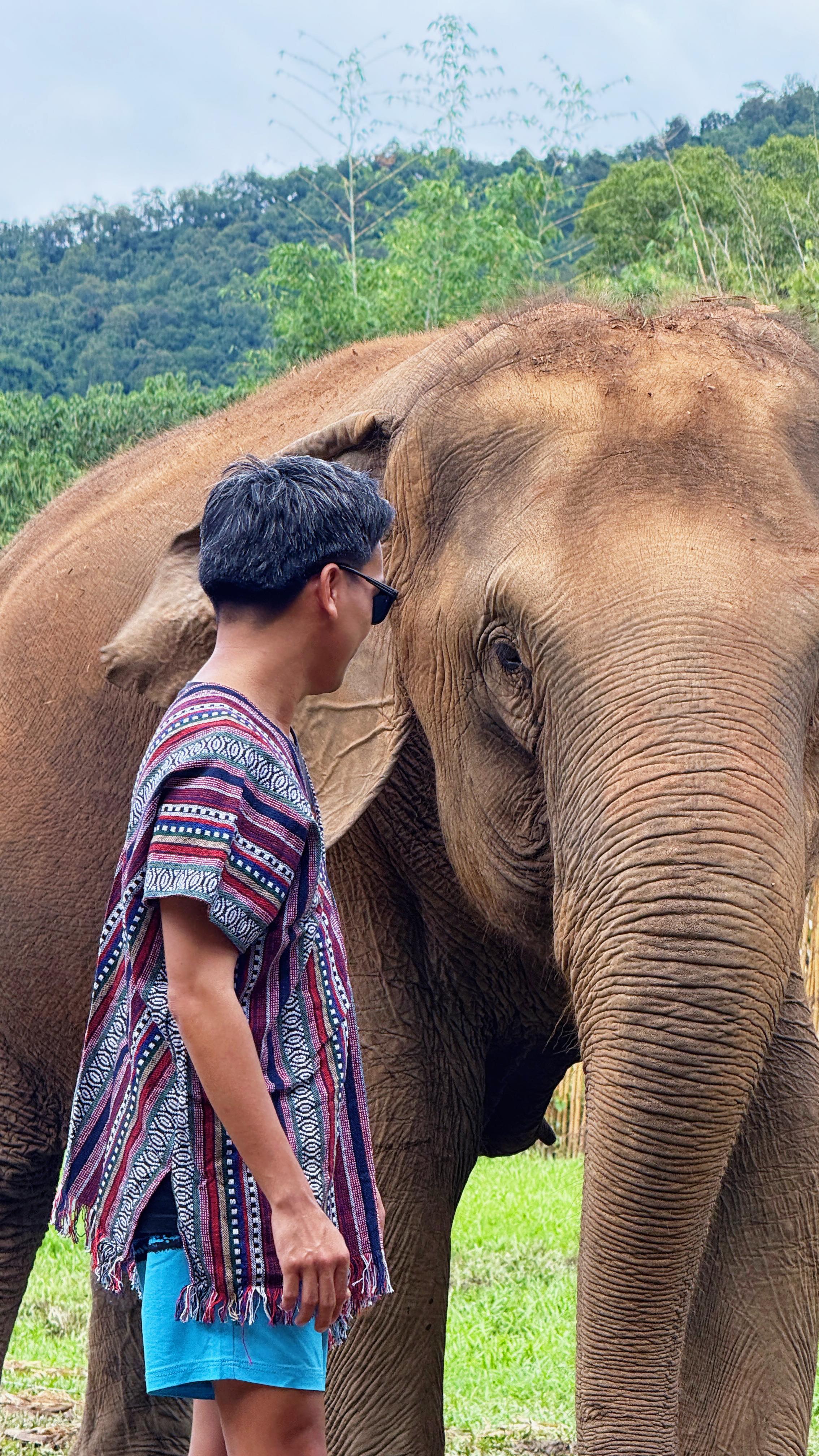 Here’s how our Elephant Jungle Sanctuary experience in Chiang Mai went:
▫️Hotel pick-up, followed by a 2-hour drive to the camp
▫️Arrived in the afternoon and received a short briefing on elephant care and safety guidelines
▫️Fed the elephants with bananas and spent time interacting with them
▫️Prepared nutritious elephant food using a mix of natural ingredients
▫️Bathed the elephants and enjoyed a fun mud spa session with them
▫️Wrapped up the activities with a late lunch 
▫️Said our goodbyes to these gentle giants

Why book this tour? It’s an ethical experience. There’s no elephant riding, just meaningful interactions.

Use my exclusive promo codes on these travel apps to save on hotels, tours, and activities.
☑️ Klook: MARXTERMINDKLOOK
☑️ Agoda: MARXAGODA / MARXACTIVITY
☑️ Get Your Guide: MARXTERMIND10

chiang mai elephant tour | elephant jungle sanctuary | chiang mai thailand

#marxtermindtravels
