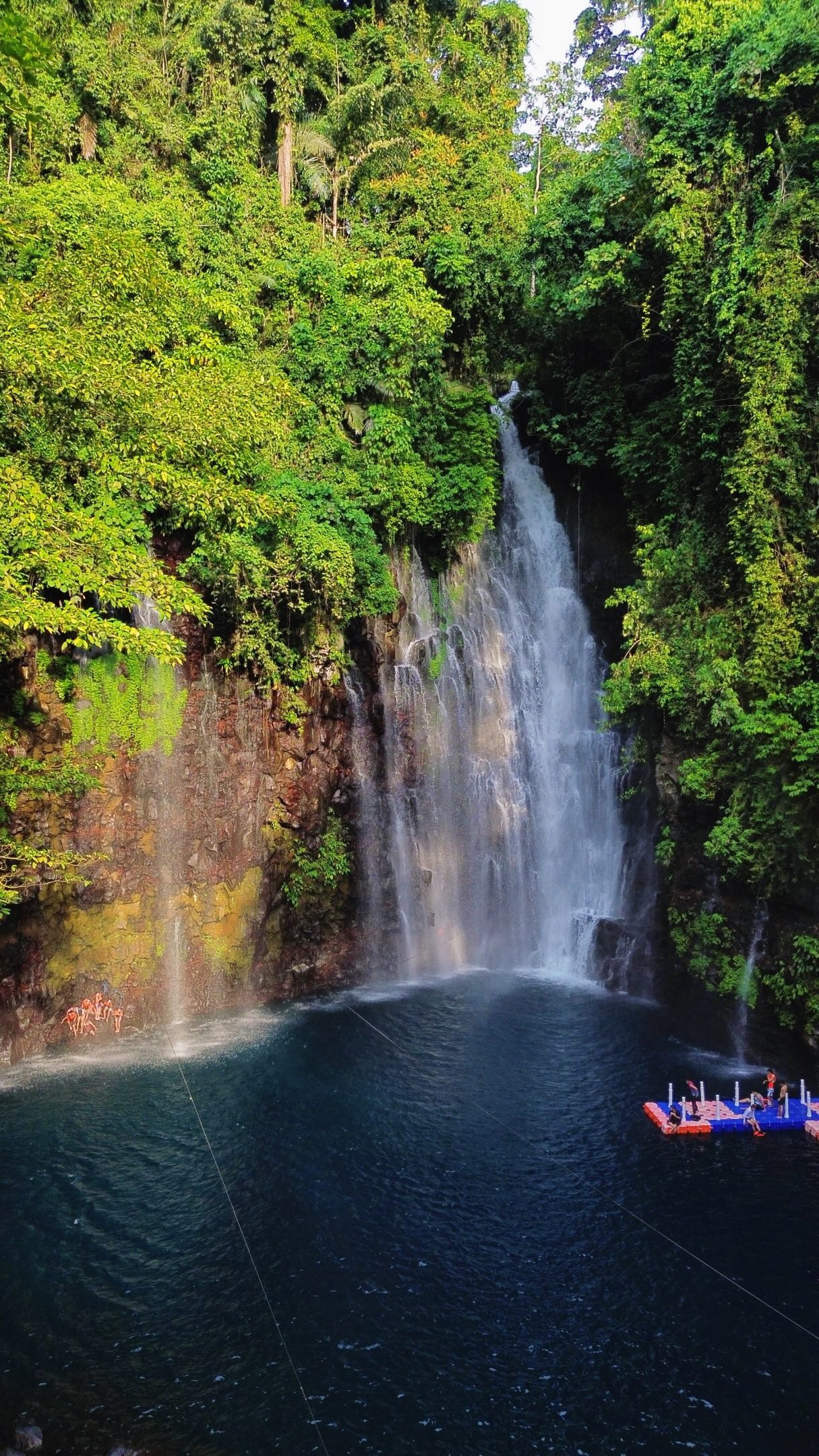One of my goals when I visited Iligan City was to explore its famous waterfalls, and Tinago Falls did not disappoint.

True to its name, Tinago Falls is a hidden gem tucked away in nature. It’s one of the most beautiful waterfalls I’ve visited and a must-see when in Iligan City.

Planning to visit? Here’s how to get to Tinago Falls:
1. Ride a jeepney bound for Buru-un and ask the driver to drop you off at the Tinago Falls junction.
2. From the junction, take a habal-habal ride going to Tinago Falls.
3. Walk down around 500 steps through a jungle trail to reach the falls. 

Promo Codes
Enjoy extra discounts with my promo codes:
🔸 Agoda Hotels: MARXAGODA
🔸 Agoda Activities: MARXACTIVITY
🔸 Klook: MARXTERMINDKLOOK

How to claim promo codes?
🔖 Agoda: Go to Deals/Coupons → enter my promo code → tap ☑️ to apply
🔖 Klook: Go to Account → Promo Codes → enter my promo code → tap Redeem

iligan city | tinago falls | iligan waterfalls

#travelwithmarx