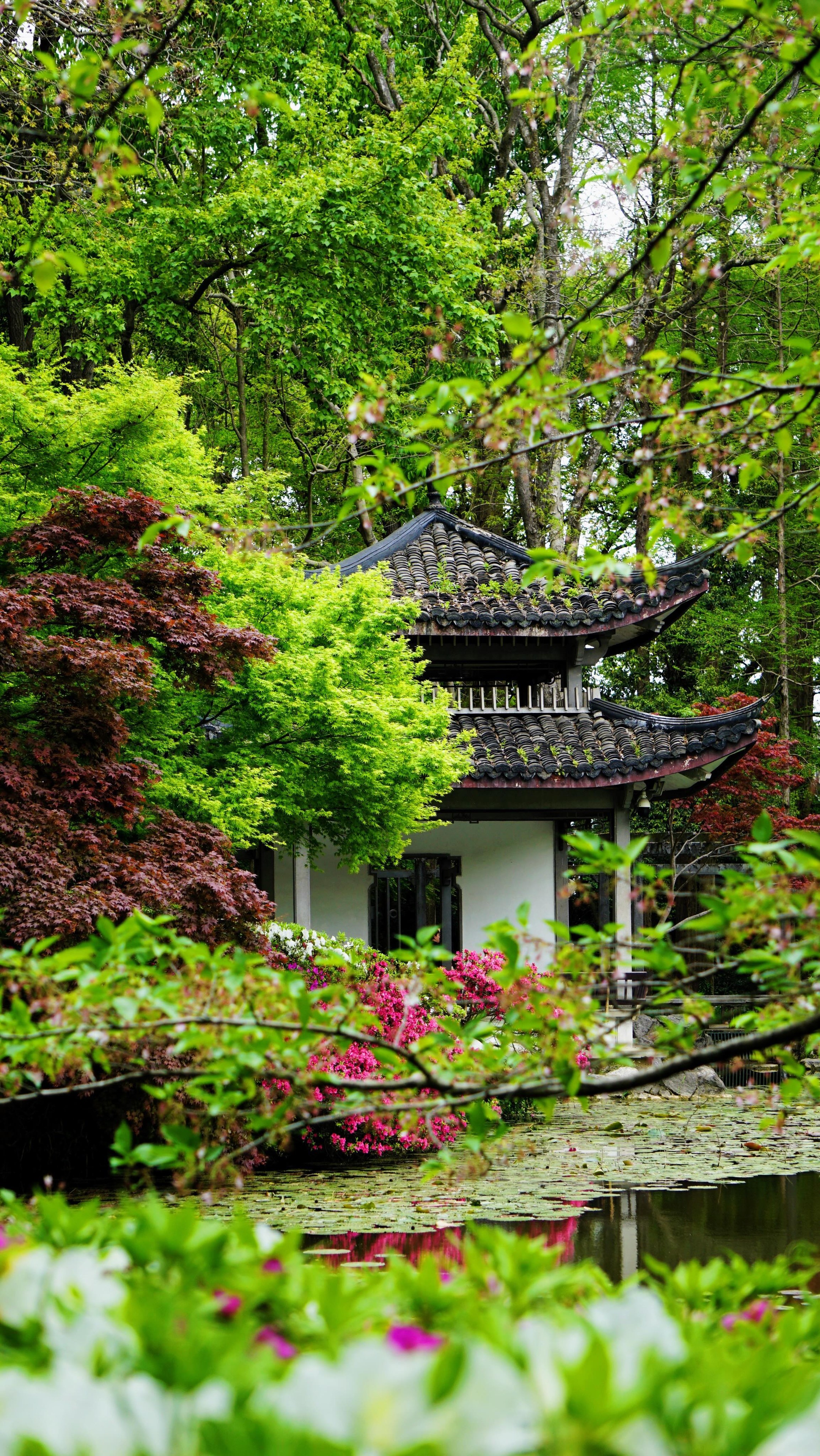 🇨🇳 If you’re in Shanghai, don’t miss a side trip to Hangzhou.

I took a short side trip from Shanghai to Hangzhou and spent 3 days exploring the city. From peaceful walks around West Lake to late nights at Qinghefang, Hangzhou completely surprised me with its charm.

Here are some of the things you can do in Hangzhou:
1. Try local food at Wulin Night Market
2. Explore the tourist spots around West Lake
3. Visit Leifeng Pagoda
4. Go to Xinhenghe Bridge
5. Spend the night at Qinghefang
6. Explore the Hangzhou Botanical Garden

Promo Codes
Traveling to China soon? Use these promo codes to enjoy extra discounts on hotels, tours, and activities:
🎟️ Agoda Hotels: MARXAGODA
🎟️ Agoda Activities: MARXACTIVITY
🎟️ Klook: MARXTERMINDKLOOK

How to claim promo codes?
🔖 Agoda: Go to Deals/Coupons → enter promo code → tap ✔️ to apply
🔖 Klook: Go to Account → Promo Codes → enter code → tap Redeem

hangzhou tour | hangzhou itinerary | places to visit in hangzhou

#travelwithmarx